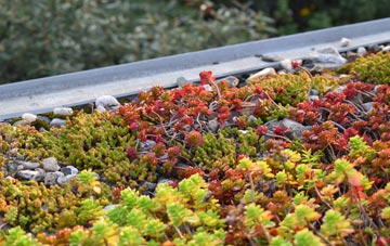 the cost of Little Comfort green roof installation