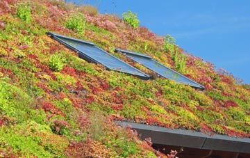 Little Comfort living roof systems